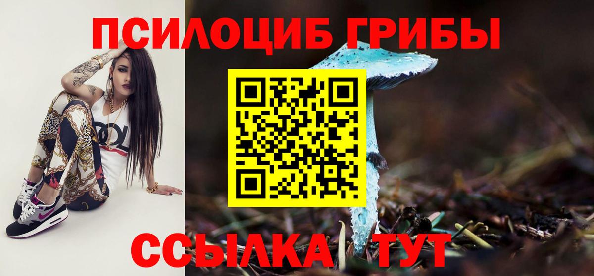 Псилоцибиновые грибы MAGIC MUSHROOMS Рославль
